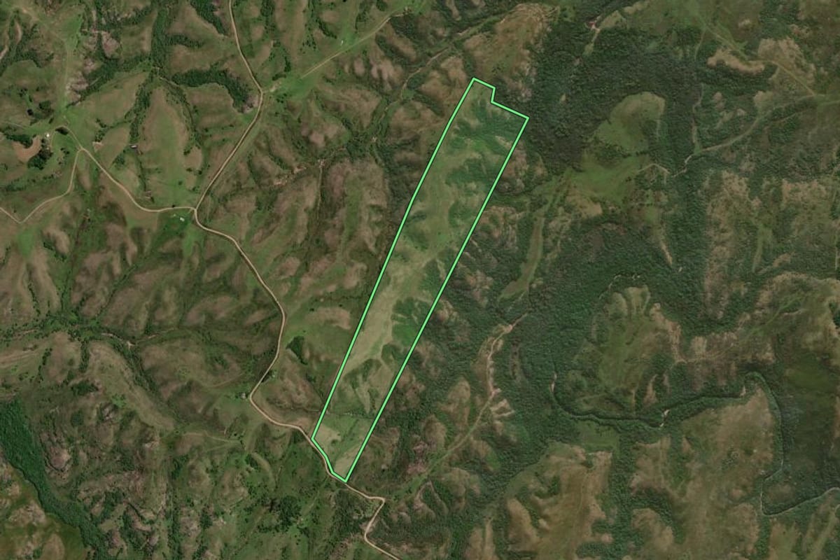 Imagem de satélite do imóvel rural em Pinheiro Machado (RS), com o contorno declarado no CAR desenhado por cima.
