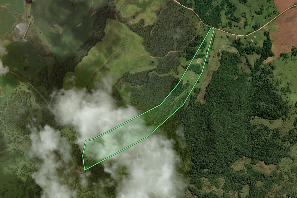 Imagem de satélite do imóvel rural em Pinheiro Machado (RS), com o contorno declarado no CAR desenhado por cima.