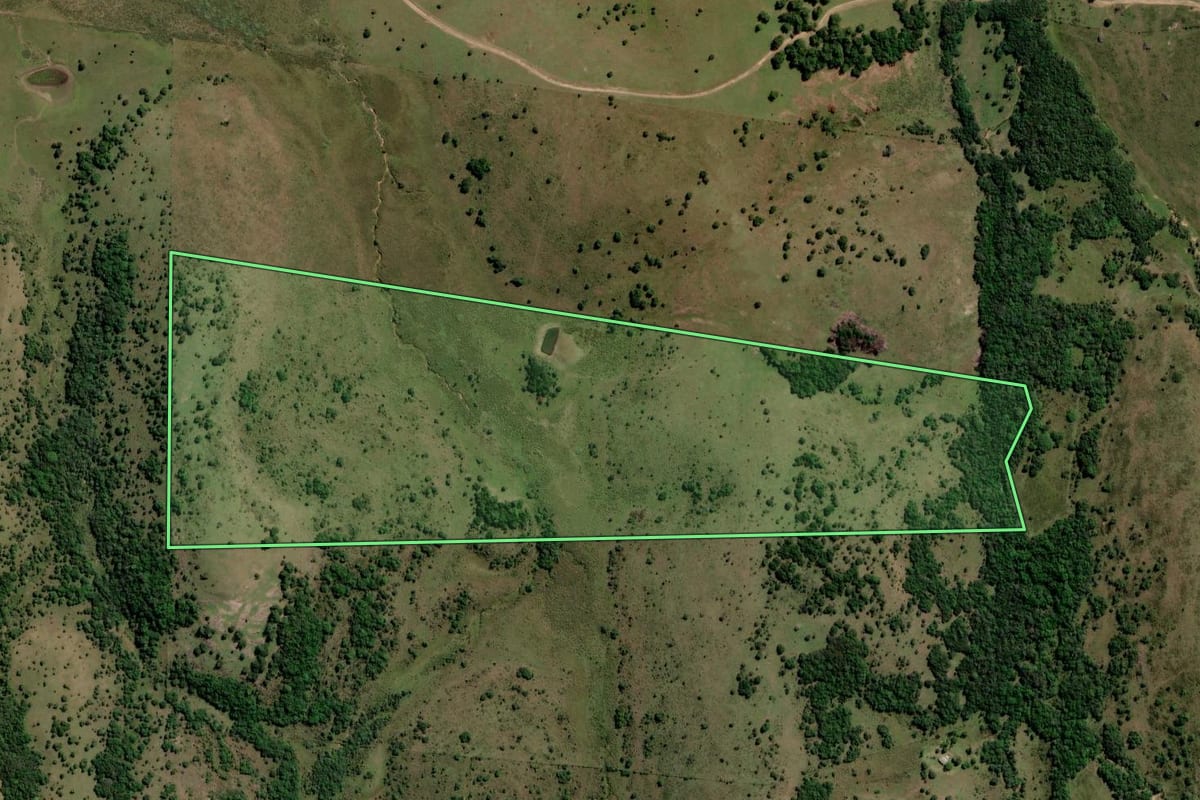 Imagem de satélite do imóvel rural em Pinheiro Machado (RS), com o contorno declarado no CAR desenhado por cima.