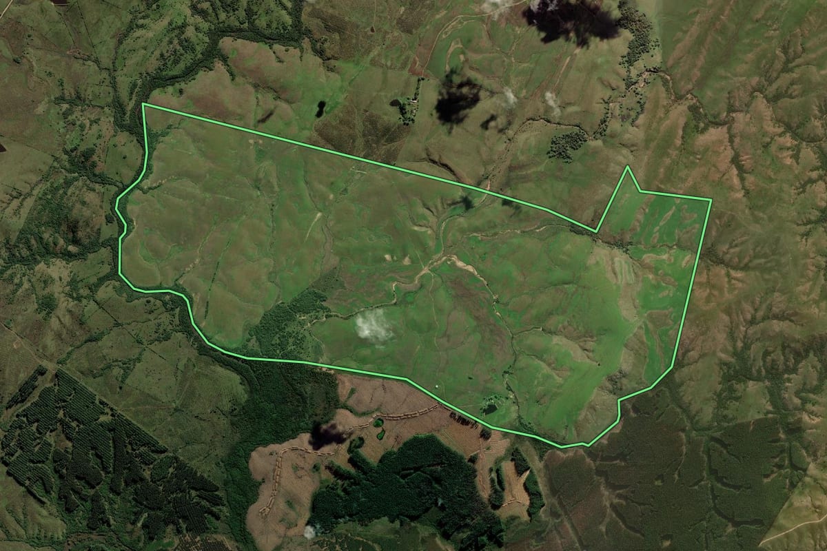 Imagem de satélite do imóvel rural em Pinheiro Machado (RS), com o contorno declarado no CAR desenhado por cima.