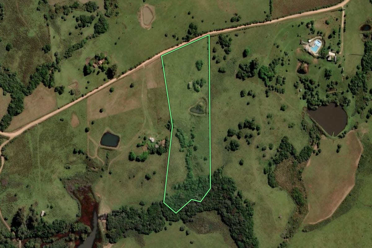 Imagem de satélite do imóvel rural em Pinheiro Machado (RS), com o contorno declarado no CAR desenhado por cima.