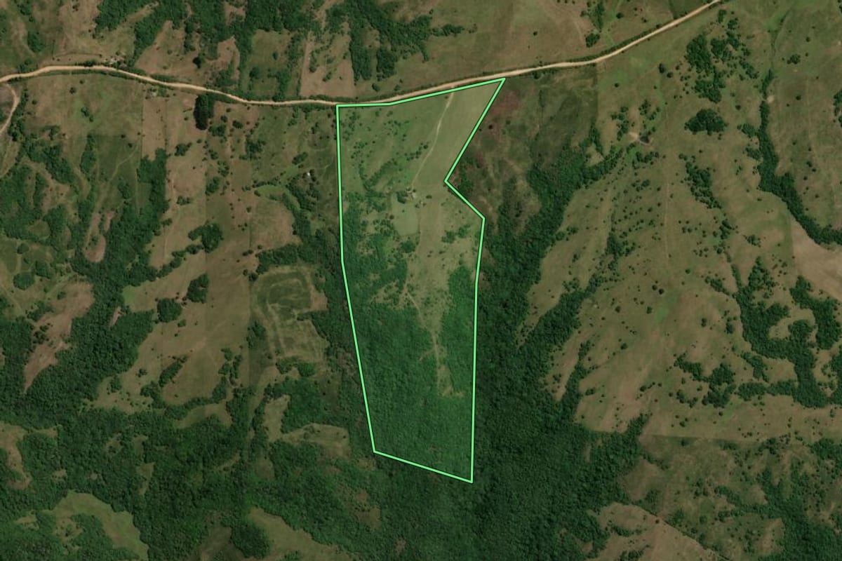 Imagem de satélite do imóvel rural em Pinheiro Machado (RS), com o contorno declarado no CAR desenhado por cima.