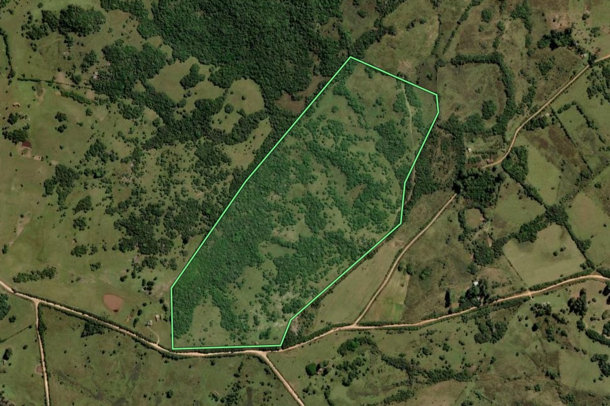 Imagem de satélite do imóvel rural em Pinheiro Machado (RS), com o contorno declarado no CAR desenhado por cima.