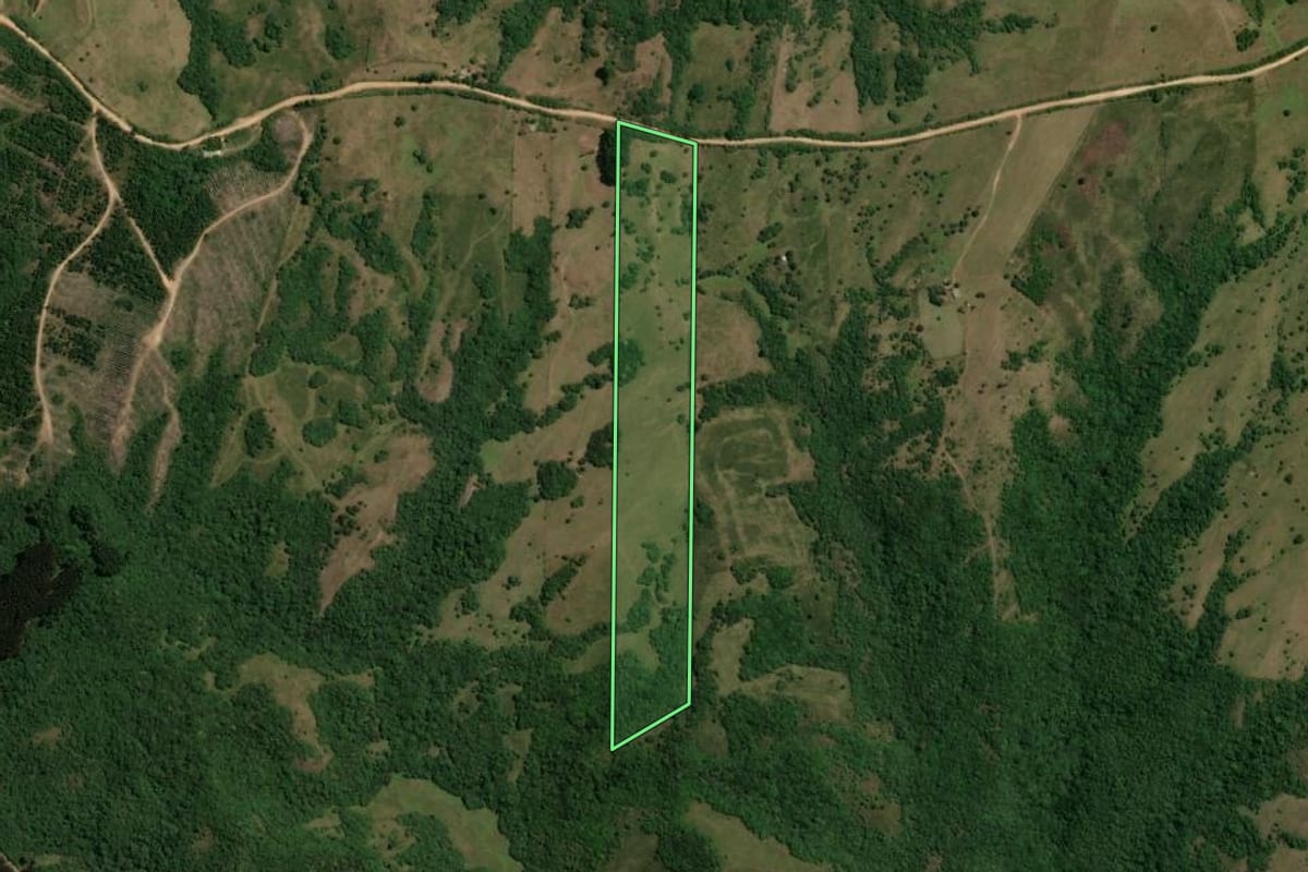 Imagem de satélite do imóvel rural em Pinheiro Machado (RS), com o contorno declarado no CAR desenhado por cima.