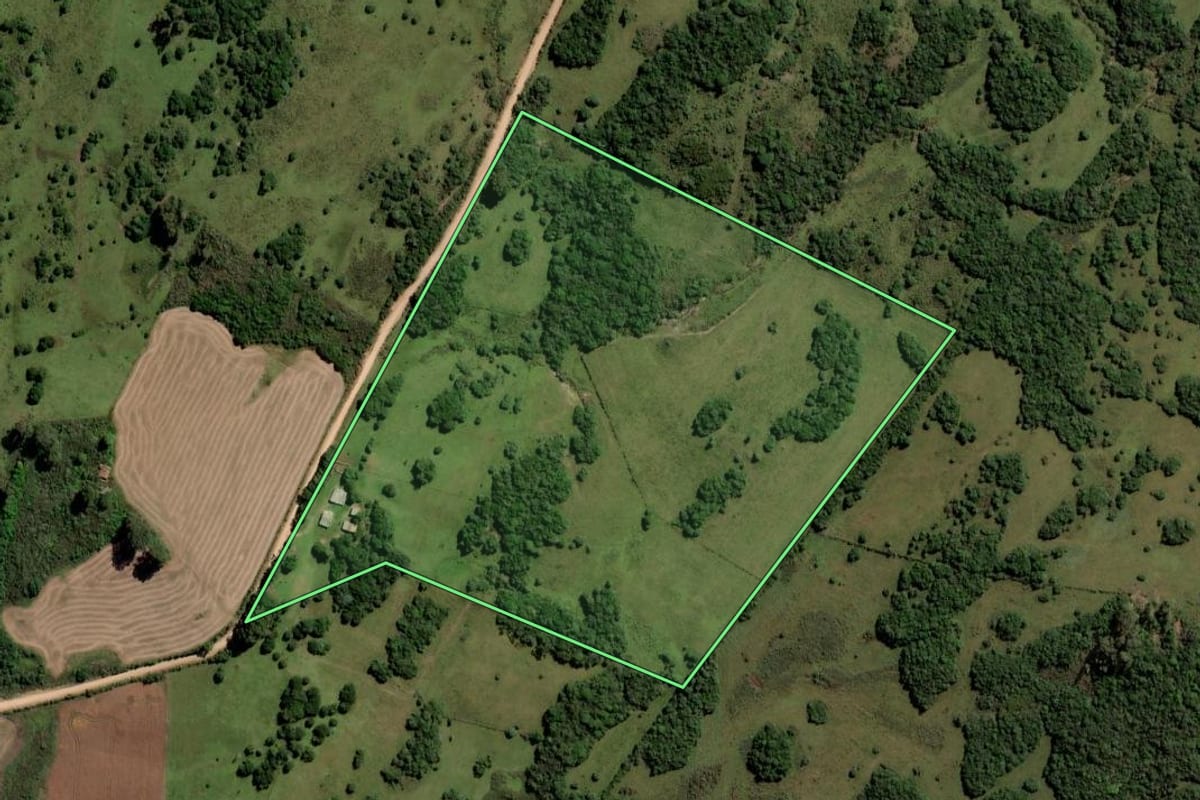 Imagem de satélite do imóvel rural em Pinheiro Machado (RS), com o contorno declarado no CAR desenhado por cima.