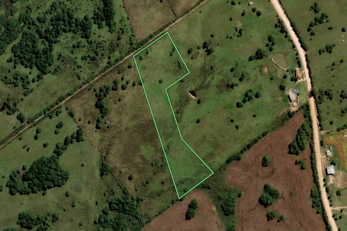 Imagem de satélite do imóvel rural em Pinheiro Machado (RS), com o contorno declarado no CAR desenhado por cima.