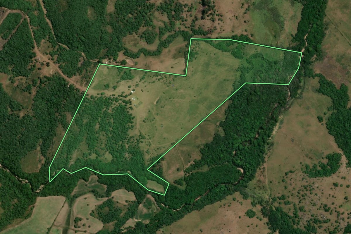 Imagem de satélite do imóvel rural em Pinheiro Machado (RS), com o contorno declarado no CAR desenhado por cima.
