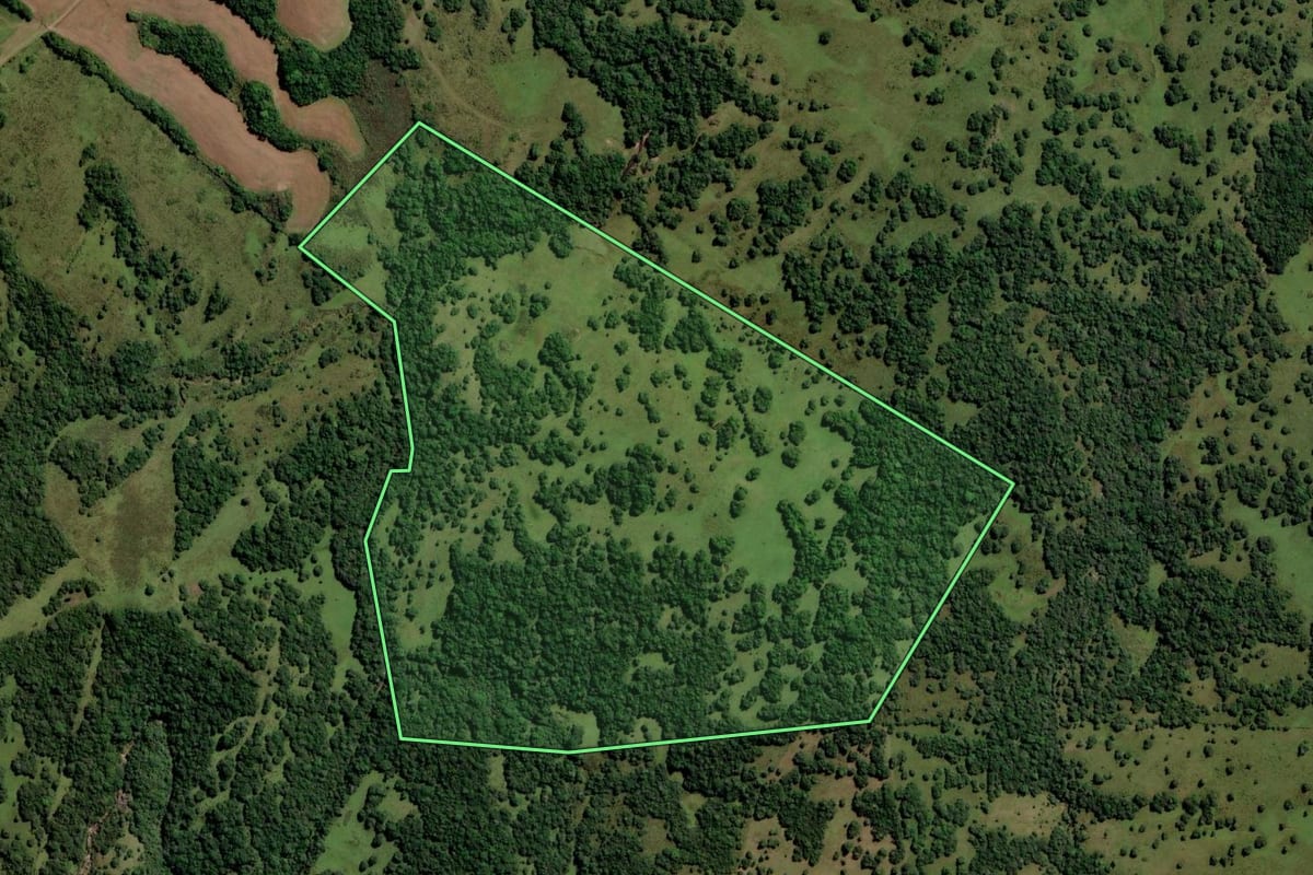 Imagem de satélite do imóvel rural em Pinheiro Machado (RS), com o contorno declarado no CAR desenhado por cima.