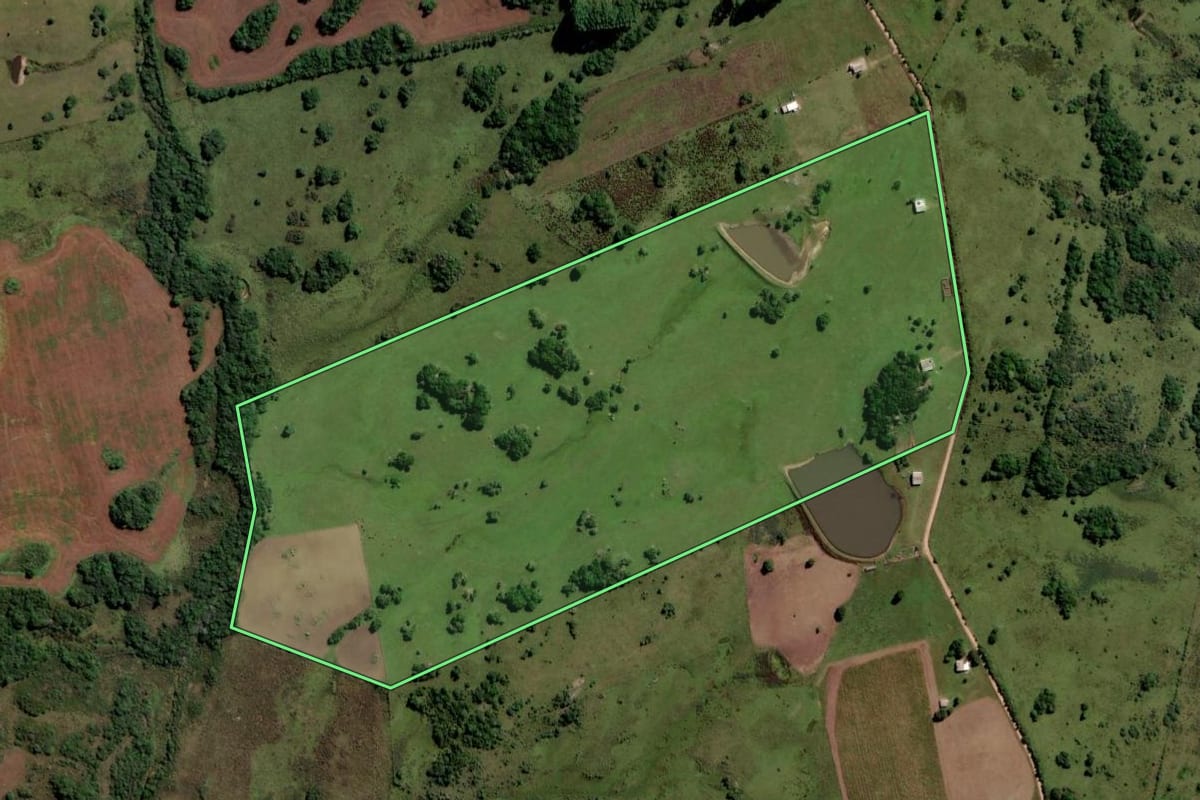 Imagem de satélite do imóvel rural em Pinheiro Machado (RS), com o contorno declarado no CAR desenhado por cima.