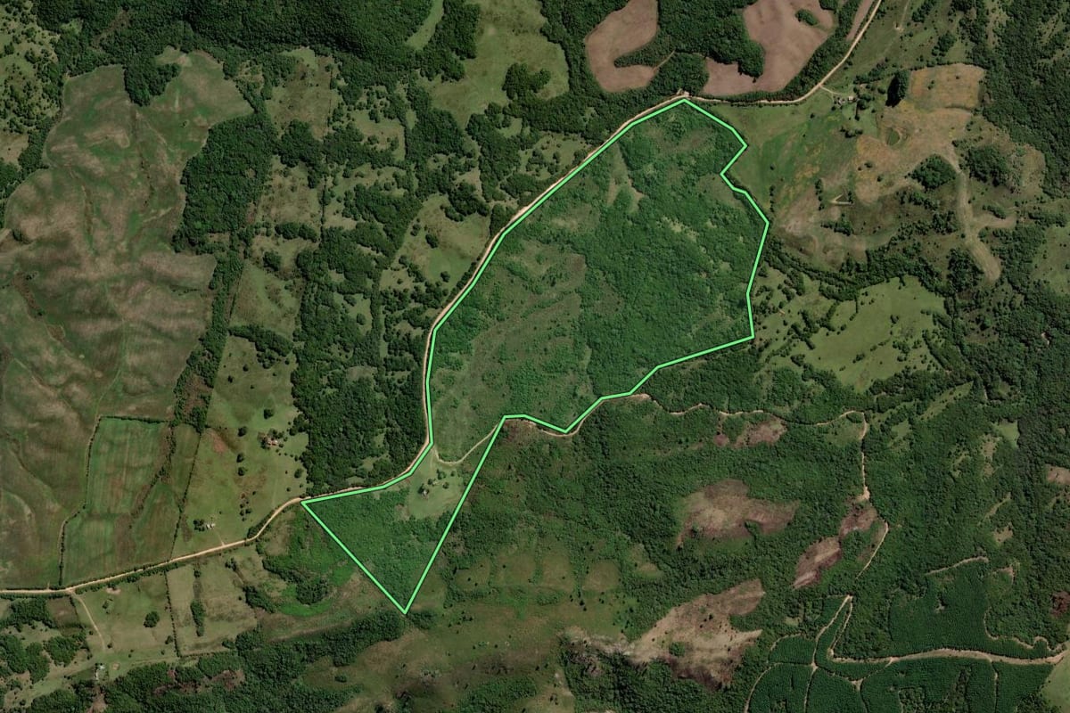 Imagem de satélite do imóvel rural em Pinheiro Machado (RS), com o contorno declarado no CAR desenhado por cima.