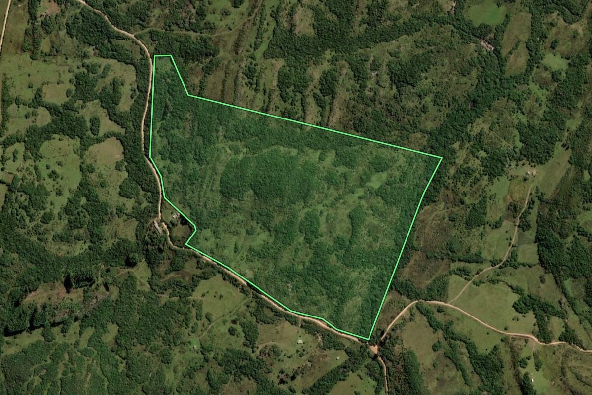 Imagem de satélite do imóvel rural em Pinheiro Machado (RS), com o contorno declarado no CAR desenhado por cima.