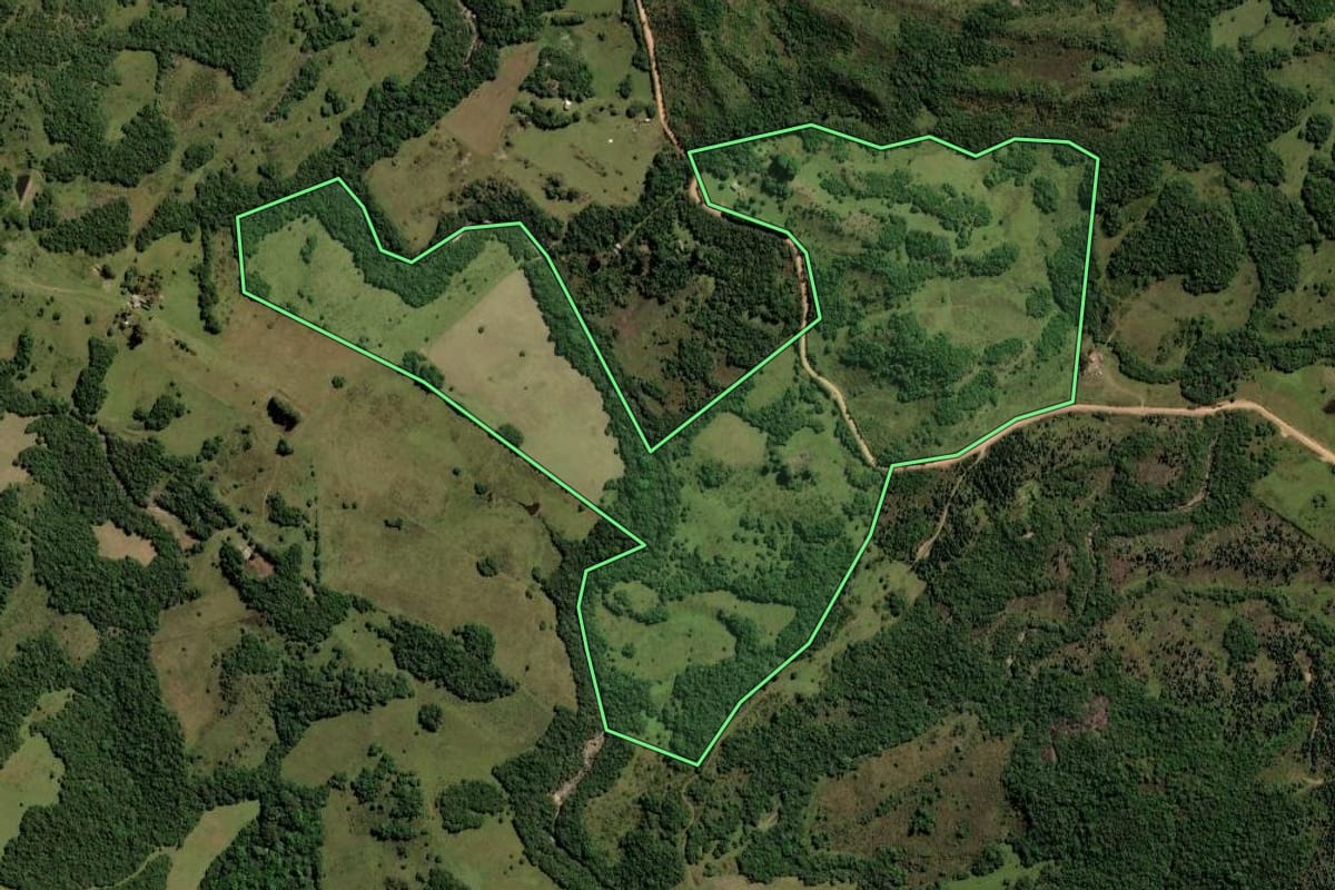 Imagem de satélite do imóvel rural em Pinheiro Machado (RS), com o contorno declarado no CAR desenhado por cima.