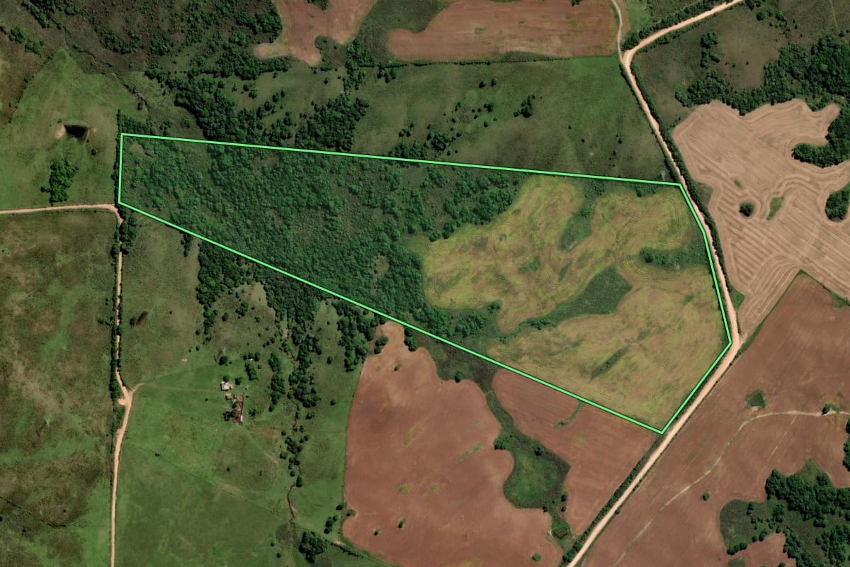 Imagem de satélite do imóvel rural em Pinheiro Machado (RS), com o contorno declarado no CAR desenhado por cima.