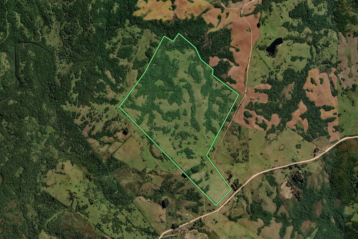Imagem de satélite do imóvel rural em Pinheiro Machado (RS), com o contorno declarado no CAR desenhado por cima.