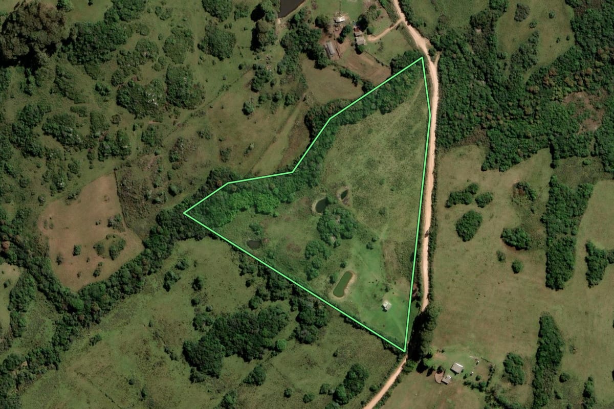 Imagem de satélite do imóvel rural em Pinheiro Machado (RS), com o contorno declarado no CAR desenhado por cima.