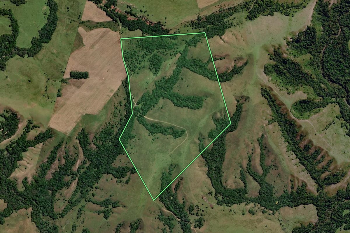 Imagem de satélite do imóvel rural em Pinheiro Machado (RS), com o contorno declarado no CAR desenhado por cima.