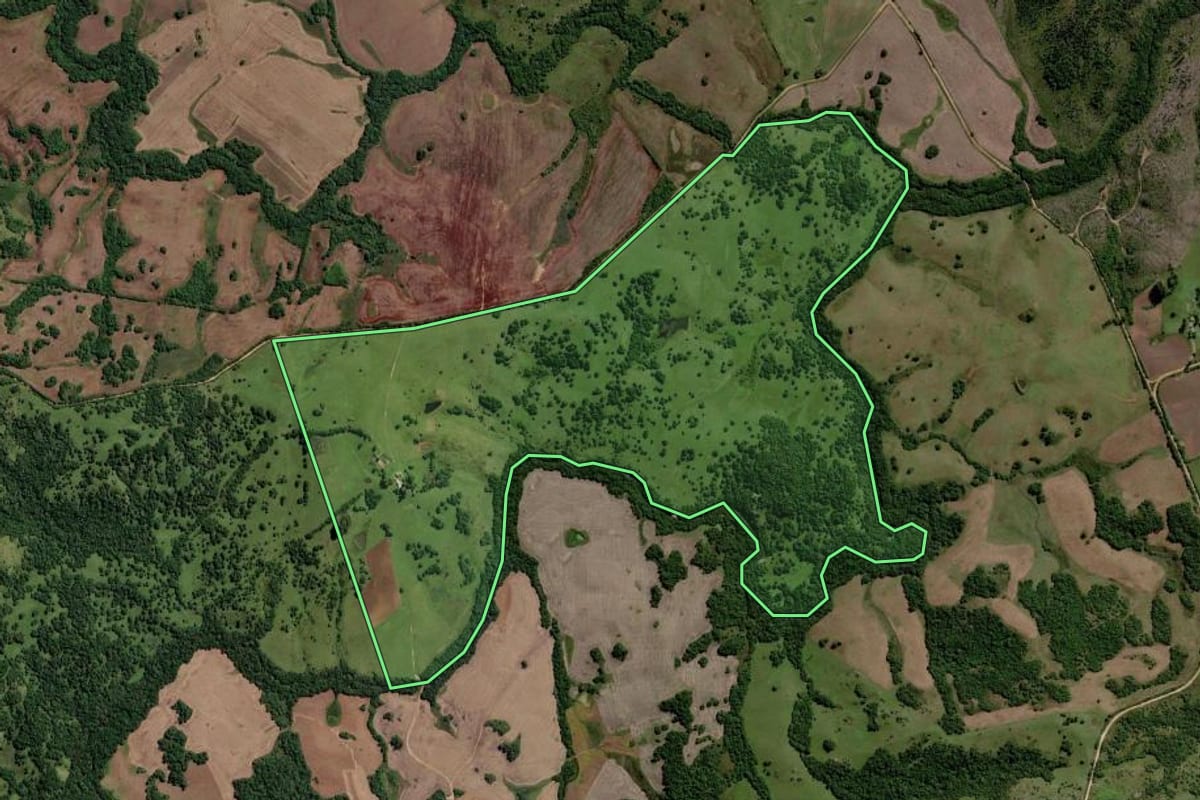 Imagem de satélite do imóvel rural em Pinheiro Machado (RS), com o contorno declarado no CAR desenhado por cima.