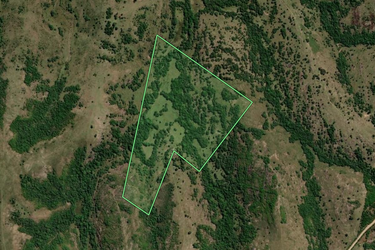 Imagem de satélite do imóvel rural em Pinheiro Machado (RS), com o contorno declarado no CAR desenhado por cima.
