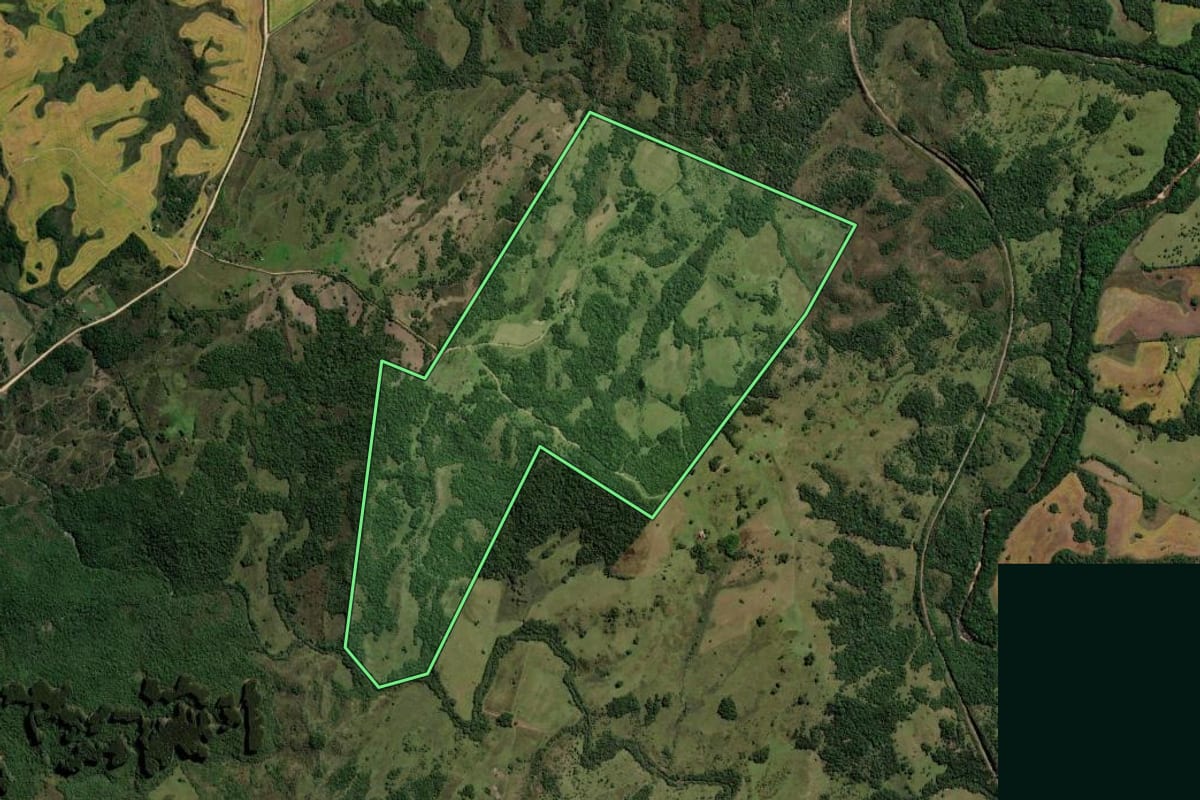 Imagem de satélite do imóvel rural em Pinheiro Machado (RS), com o contorno declarado no CAR desenhado por cima.