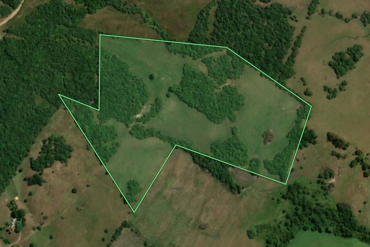 Imagem de satélite do imóvel rural em Pinheiro Machado (RS), com o contorno declarado no CAR desenhado por cima.