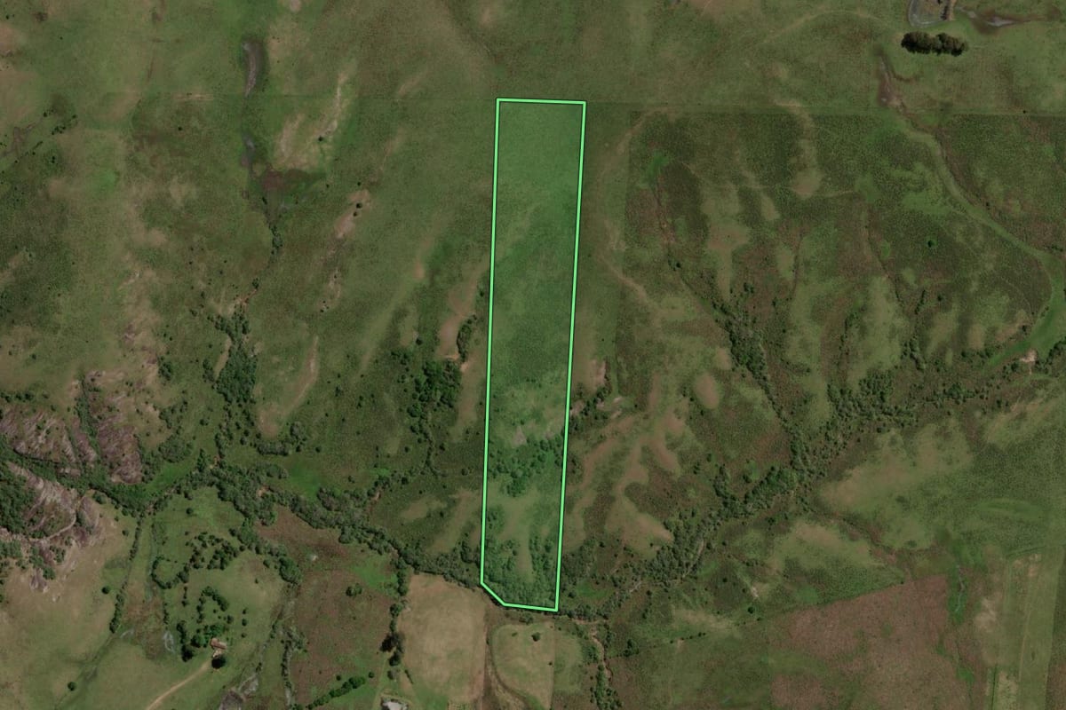Imagem de satélite do imóvel rural em Pinheiro Machado (RS), com o contorno declarado no CAR desenhado por cima.