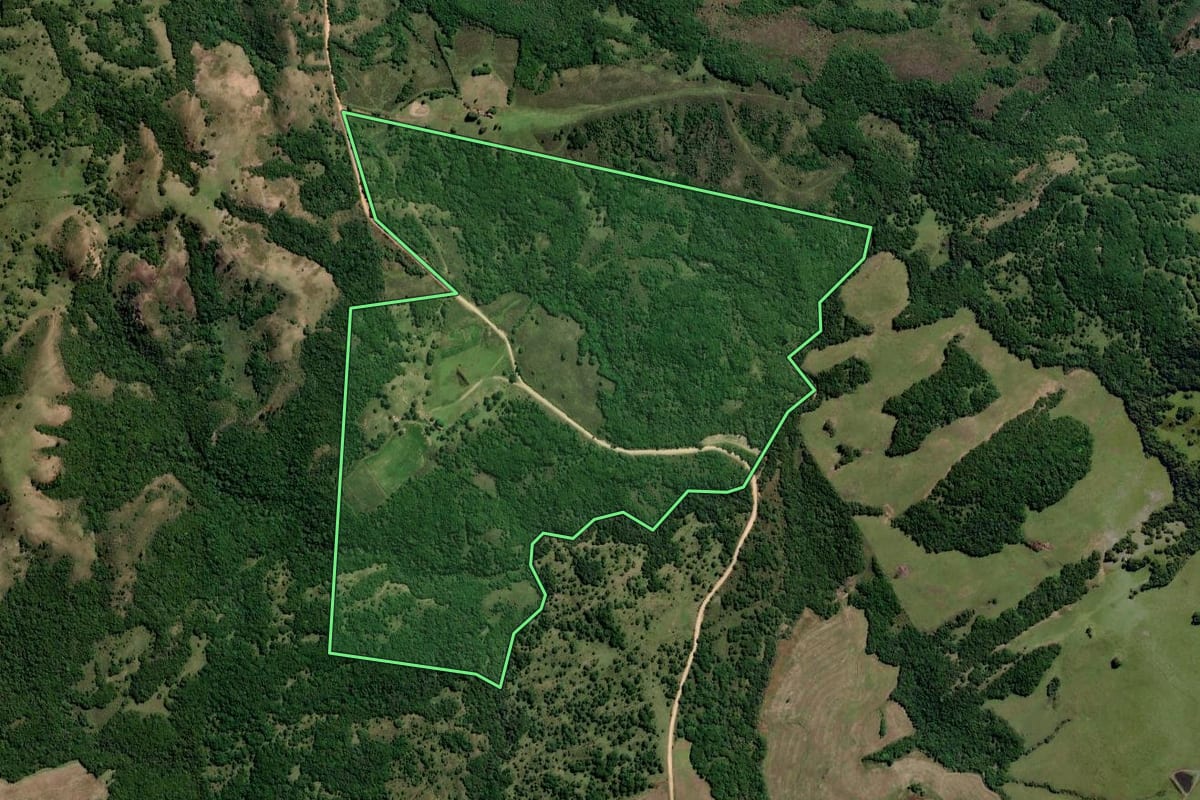 Imagem de satélite do imóvel rural em Pinheiro Machado (RS), com o contorno declarado no CAR desenhado por cima.