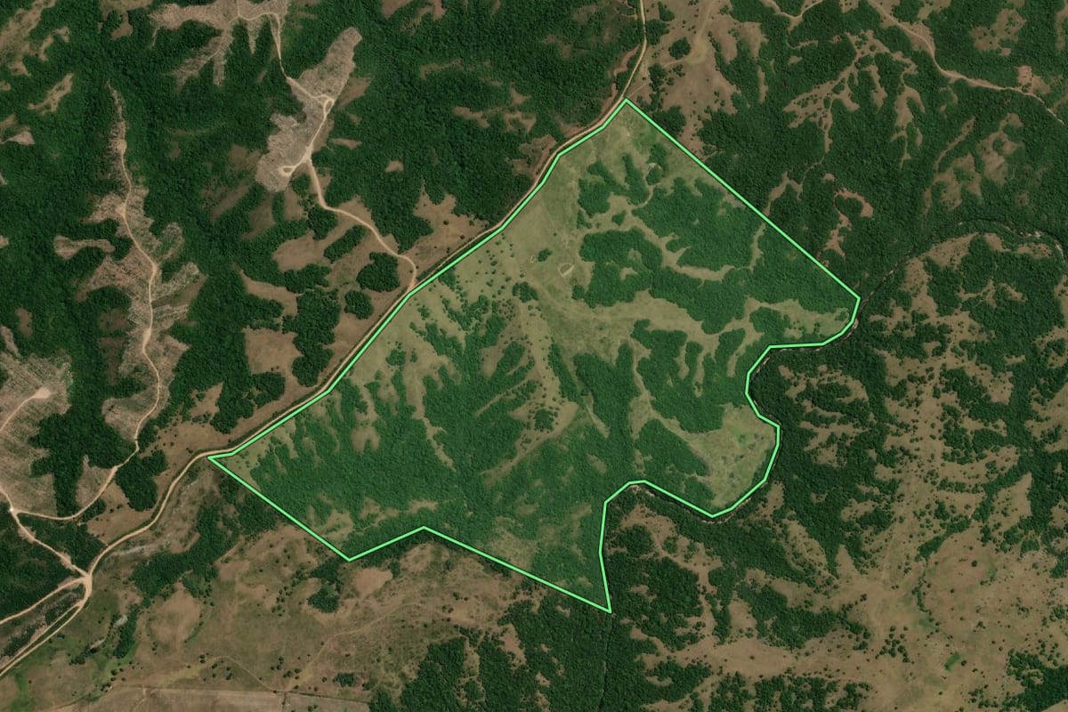 Imagem de satélite do imóvel rural em Pinheiro Machado (RS), com o contorno declarado no CAR desenhado por cima.