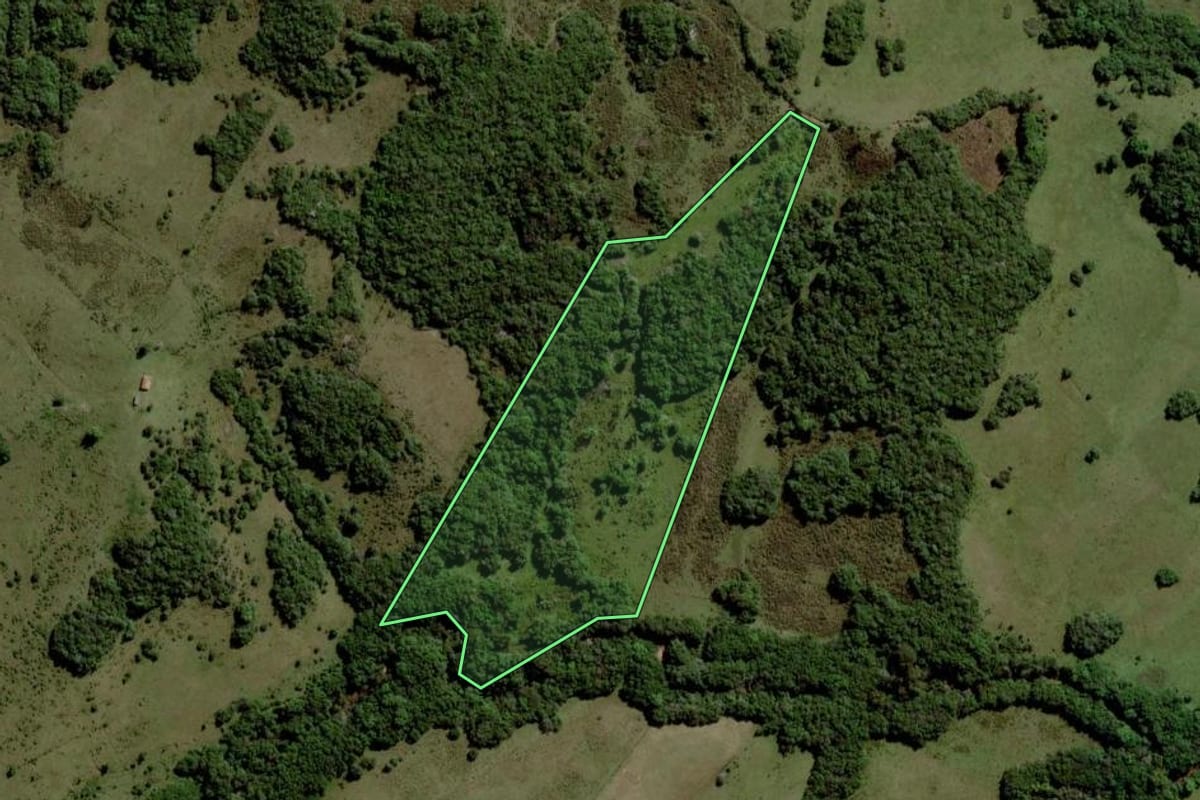 Imagem de satélite do imóvel rural em Pinheiro Machado (RS), com o contorno declarado no CAR desenhado por cima.