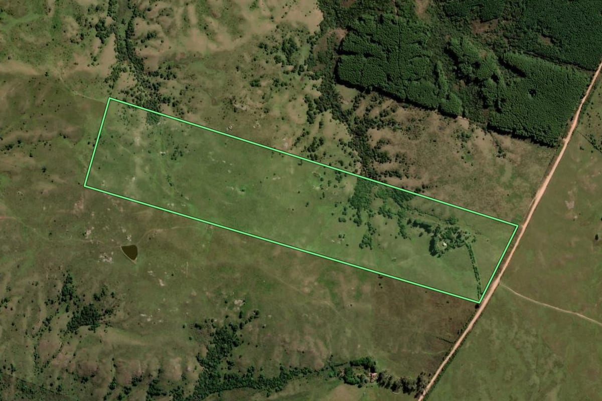 Imagem de satélite do imóvel rural em Pinheiro Machado (RS), com o contorno declarado no CAR desenhado por cima.