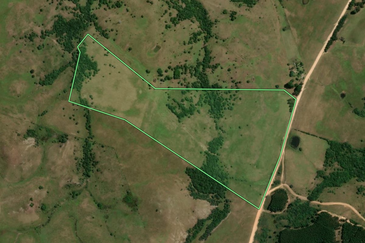 Imagem de satélite do imóvel rural em Pinheiro Machado (RS), com o contorno declarado no CAR desenhado por cima.