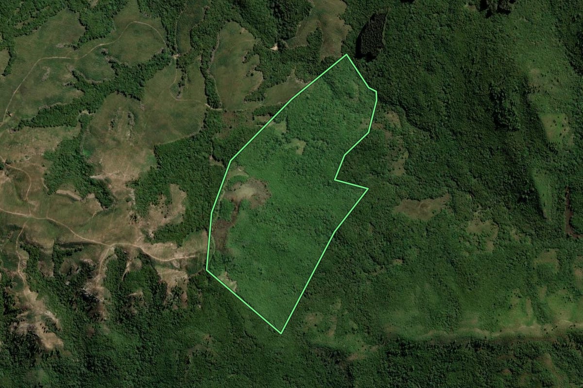 Imagem de satélite do imóvel rural em Pinheiro Machado (RS), com o contorno declarado no CAR desenhado por cima.