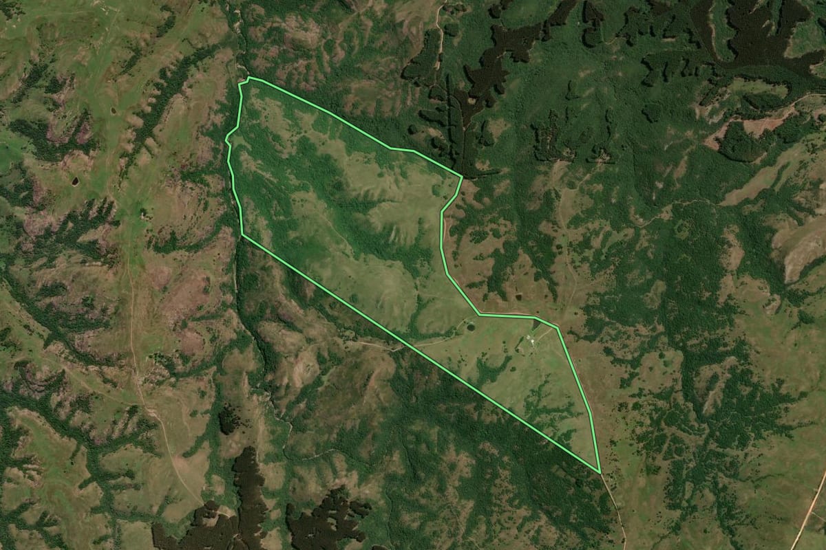 Imagem de satélite do imóvel rural em Pinheiro Machado (RS), com o contorno declarado no CAR desenhado por cima.