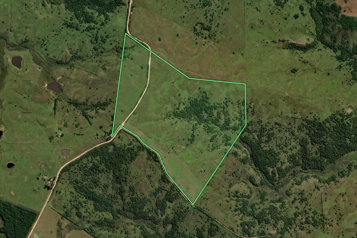 Imagem de satélite do imóvel rural em Pinheiro Machado (RS), com o contorno declarado no CAR desenhado por cima.