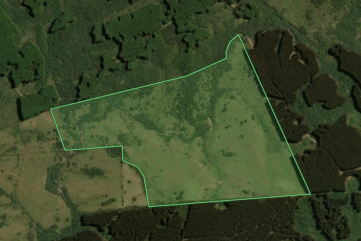 Imagem de satélite do imóvel rural em Pinheiro Machado (RS), com o contorno declarado no CAR desenhado por cima.