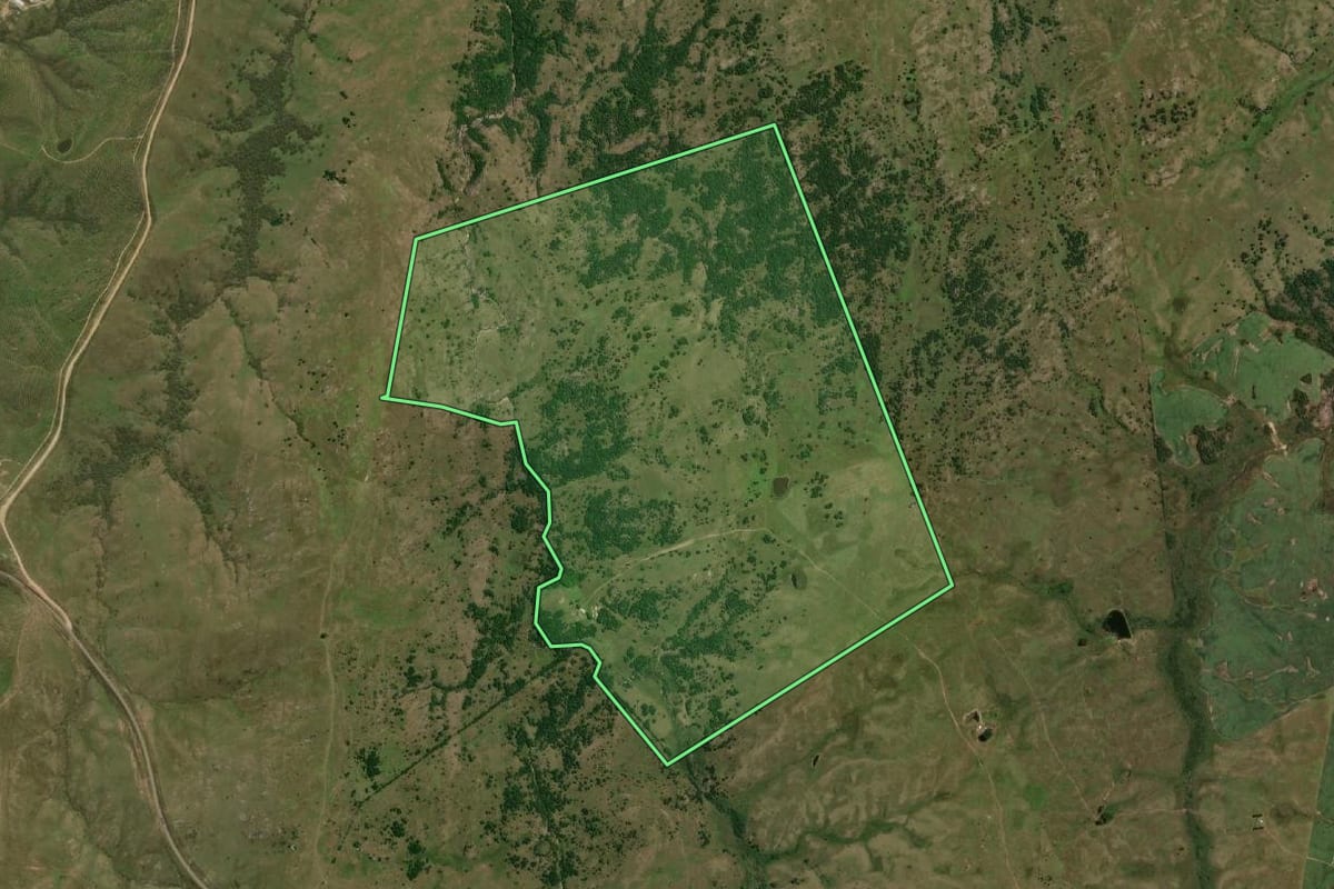 Imagem de satélite do imóvel rural em Pinheiro Machado (RS), com o contorno declarado no CAR desenhado por cima.