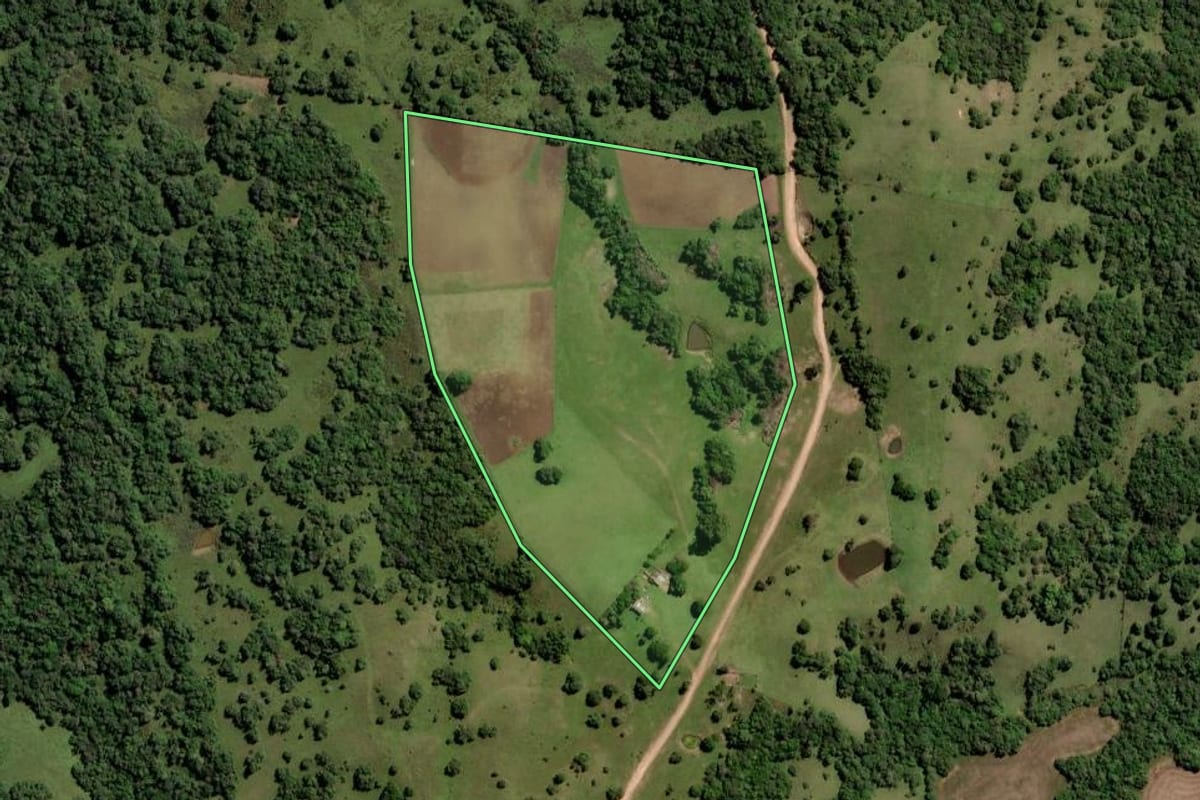 Imagem de satélite do imóvel rural em Pinheiro Machado (RS), com o contorno declarado no CAR desenhado por cima.