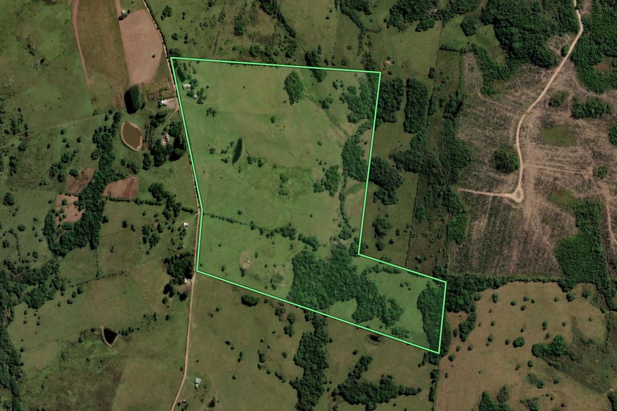Imagem de satélite do imóvel rural em Pinheiro Machado (RS), com o contorno declarado no CAR desenhado por cima.