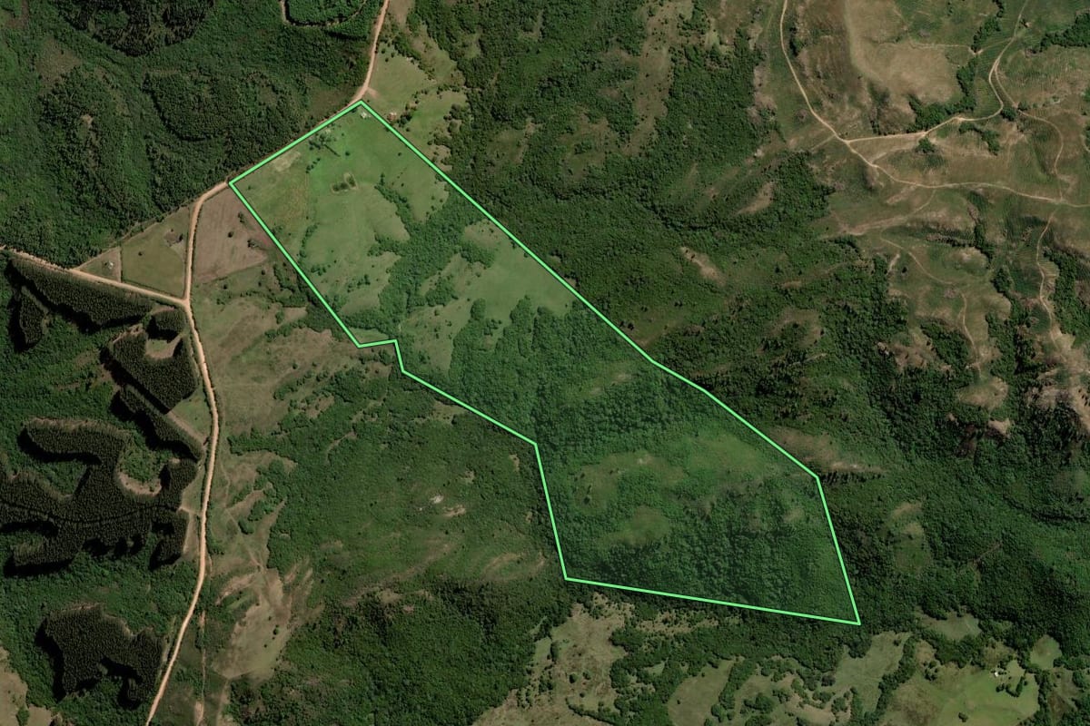 Imagem de satélite do imóvel rural em Pinheiro Machado (RS), com o contorno declarado no CAR desenhado por cima.