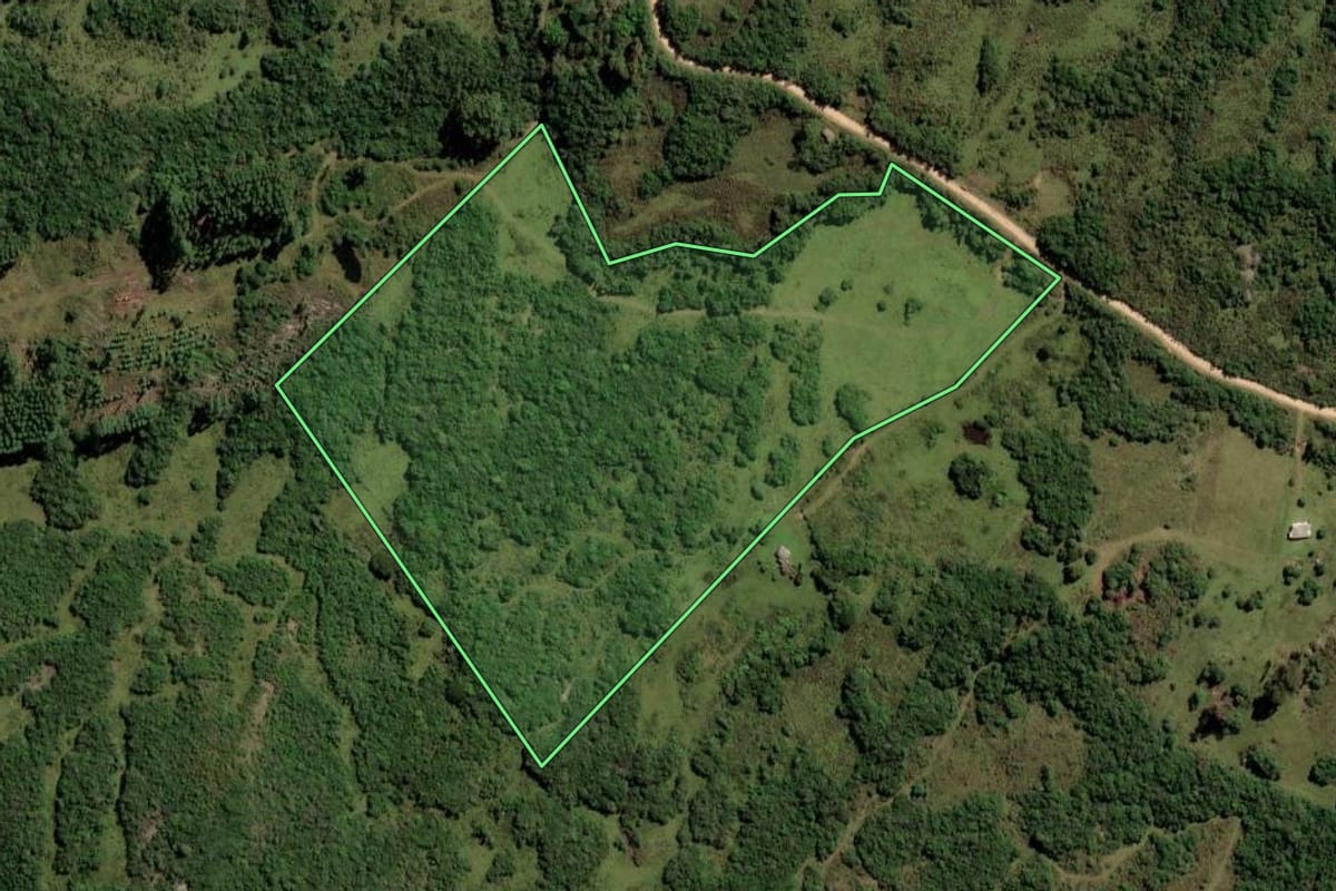 Imagem de satélite do imóvel rural em Pinheiro Machado (RS), com o contorno declarado no CAR desenhado por cima.
