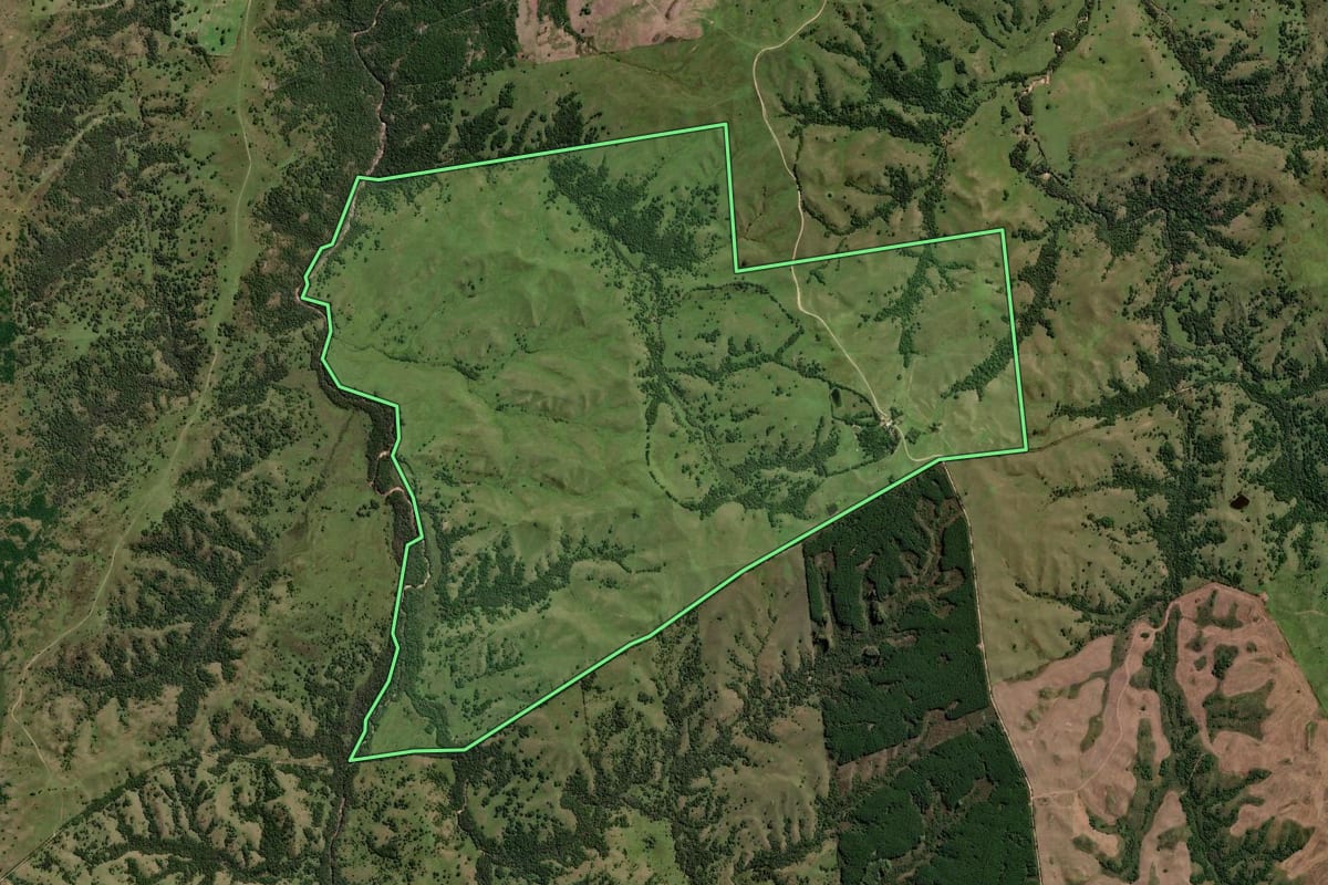 Imagem de satélite do imóvel rural em Pinheiro Machado (RS), com o contorno declarado no CAR desenhado por cima.