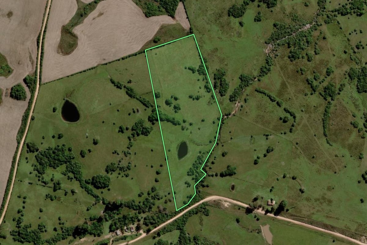 Imagem de satélite do imóvel rural em Pinheiro Machado (RS), com o contorno declarado no CAR desenhado por cima.