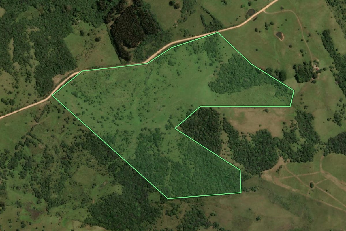 Imagem de satélite do imóvel rural em Pinheiro Machado (RS), com o contorno declarado no CAR desenhado por cima.