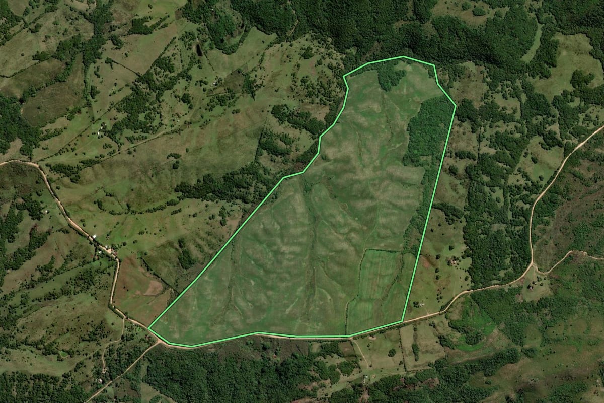 Imagem de satélite do imóvel rural em Pinheiro Machado (RS), com o contorno declarado no CAR desenhado por cima.
