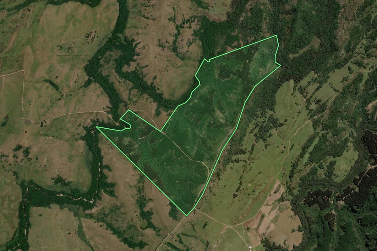 Imagem de satélite do imóvel rural em Pinheiro Machado (RS), com o contorno declarado no CAR desenhado por cima.