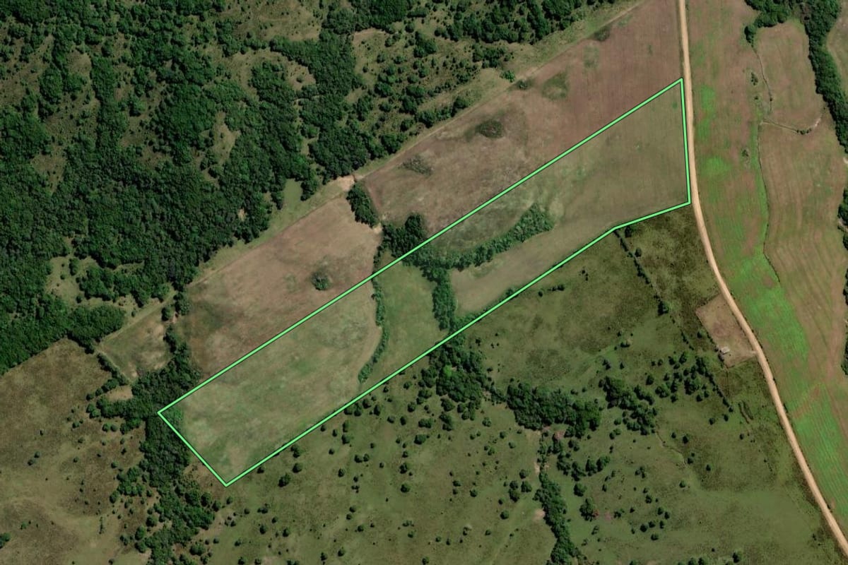 Imagem de satélite do imóvel rural em Pinheiro Machado (RS), com o contorno declarado no CAR desenhado por cima.