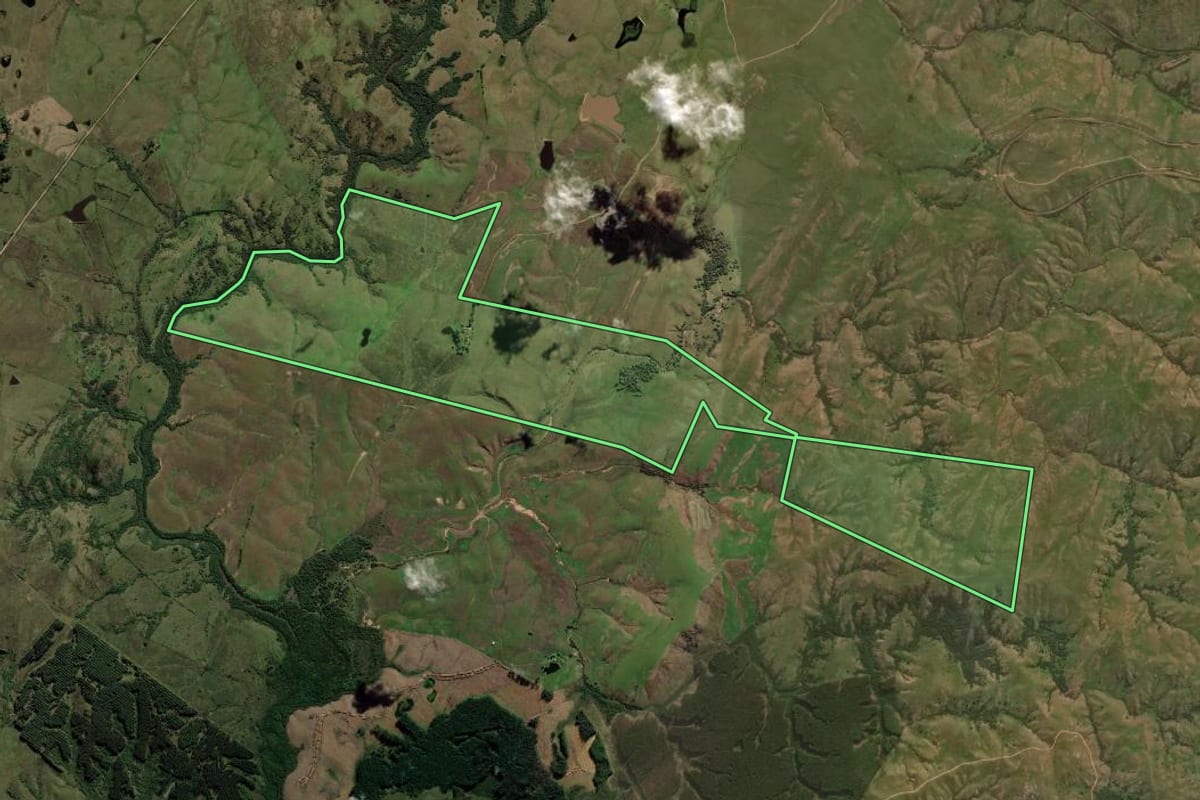 Imagem de satélite do imóvel rural em Pinheiro Machado (RS), com o contorno declarado no CAR desenhado por cima.