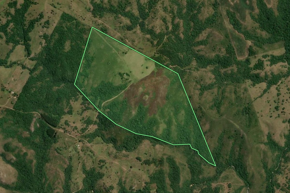 Imagem de satélite do imóvel rural em Pinheiro Machado (RS), com o contorno declarado no CAR desenhado por cima.