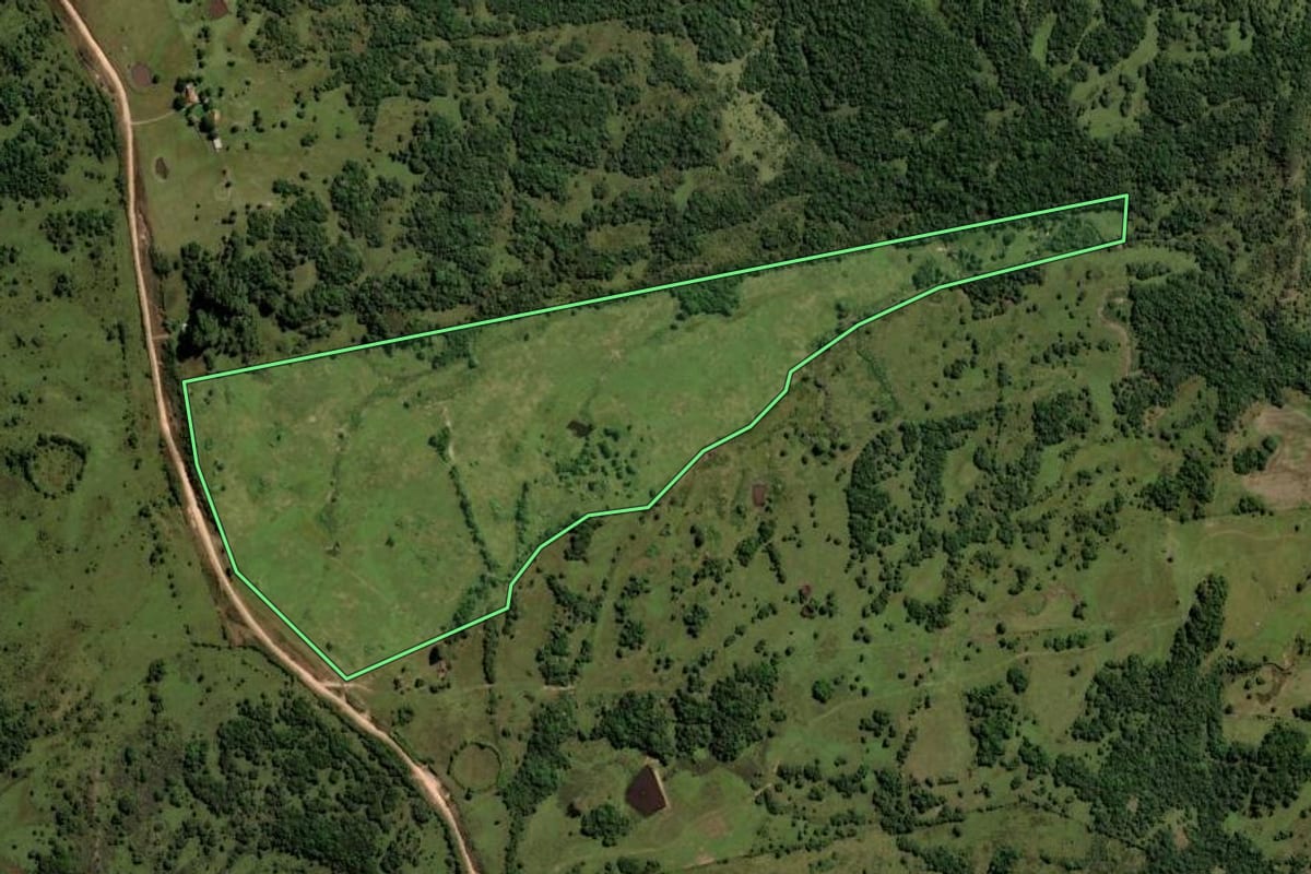 Imagem de satélite do imóvel rural em Pinheiro Machado (RS), com o contorno declarado no CAR desenhado por cima.