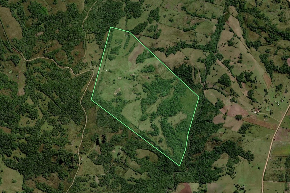 Imagem de satélite do imóvel rural em Pinheiro Machado (RS), com o contorno declarado no CAR desenhado por cima.