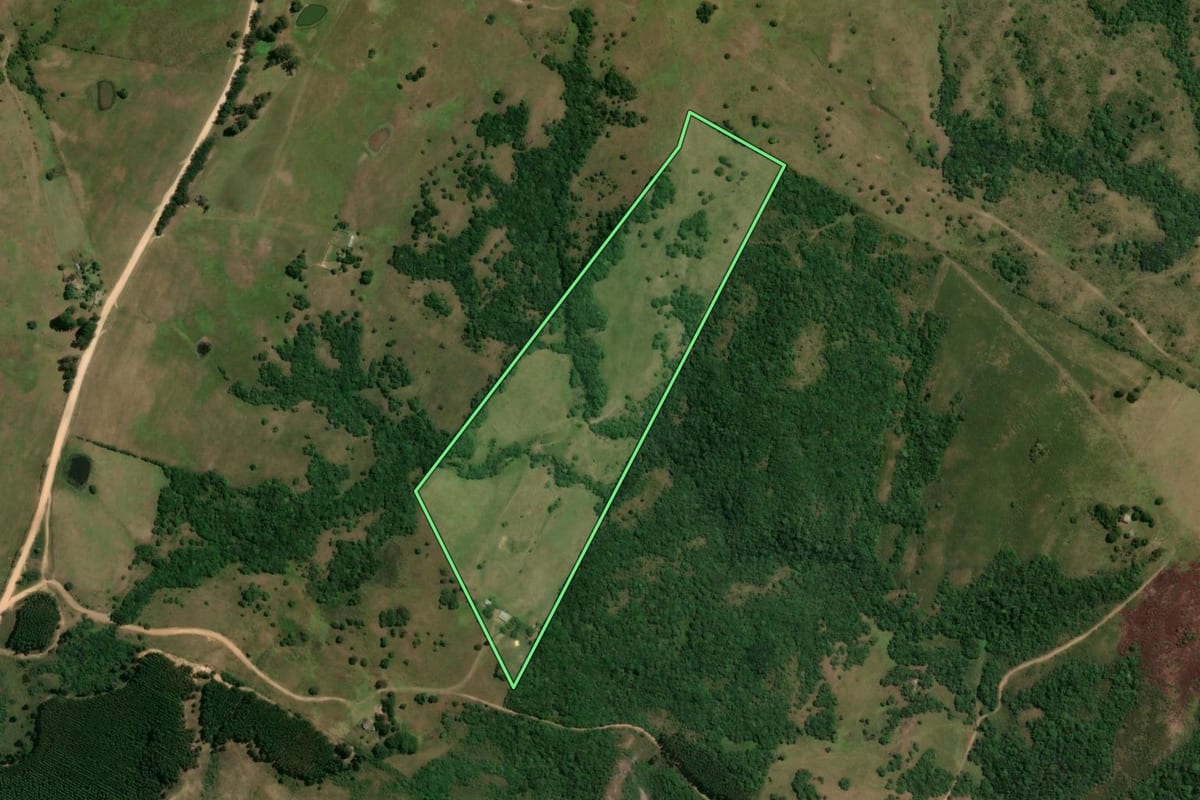 Imagem de satélite do imóvel rural em Pinheiro Machado (RS), com o contorno declarado no CAR desenhado por cima.